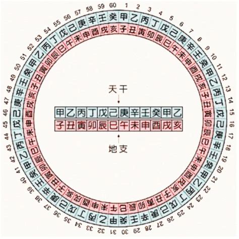 兔年天干地支|干支纪年对照表，天干地支年份对照表